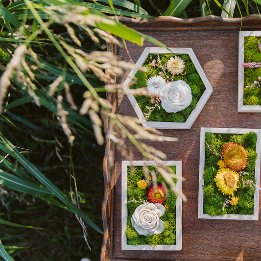 Hexagon Garden
