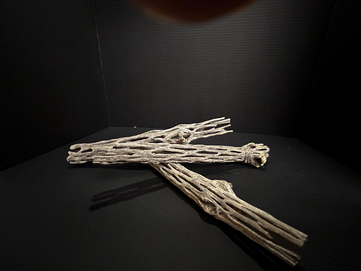 10 Pieces–5-7" Natural Cholla Wood-Aquarium, Terrarium & Nature Scape Decor