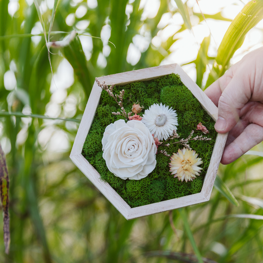 Hexagon Garden